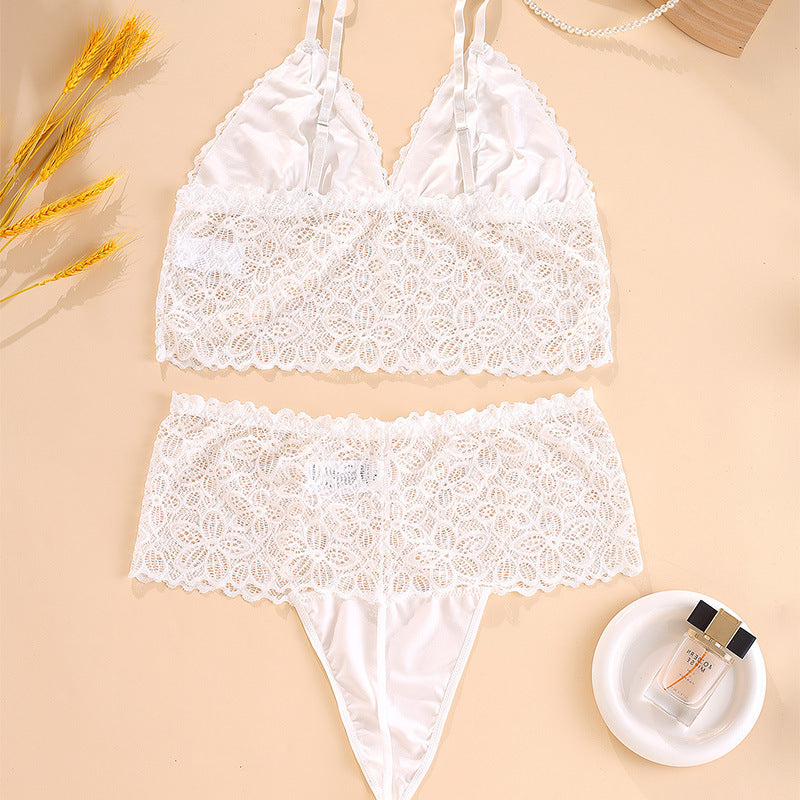 Two piece set of plus size lace  lingerie